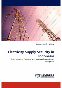 Electricity Supply Security in Indonesia