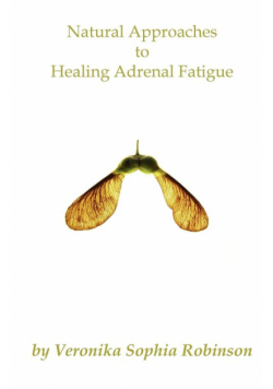 Natural Approaches to Healing Adrenal Fatigue