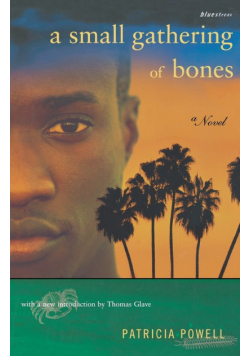 A Small Gathering of Bones