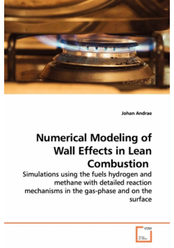 Numerical Modeling of Wall Effects in Lean  Combustion