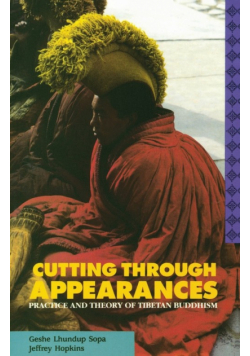 Cutting Through Appearances