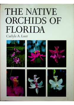 The native orchids of Florida