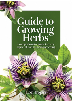 Guide to Growing Herbs