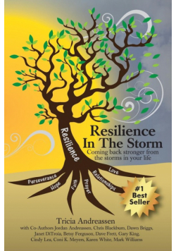 Resilience In The Storm