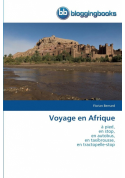 Voyage en afrique