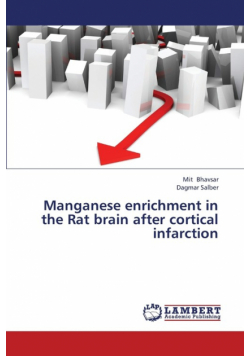 Manganese Enrichment in the Rat Brain After Cortical Infarction