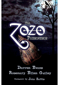 The Zozo Phenomenon