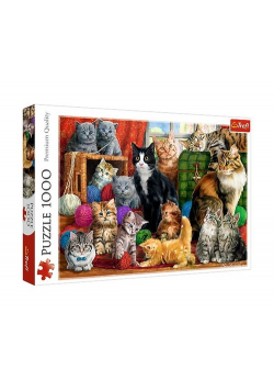 Puzzle Kocie spotkanie 1000