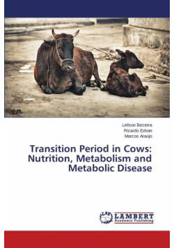 Transition Period in Cows