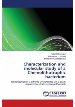 Characterization and molecular study of a Chemolithotrophic bacterium