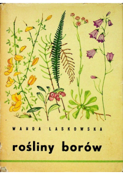 Rośliny borów