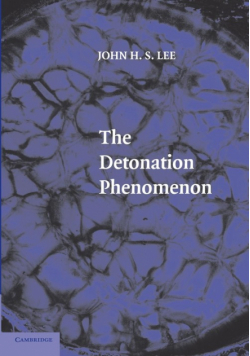 The Detonation Phenomenon