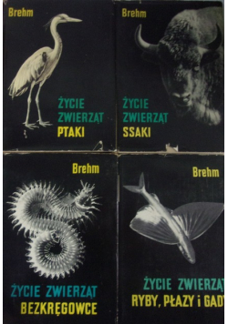 Życie zwierząt 4 tomy