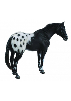Ogier rasy Appaloosa kary