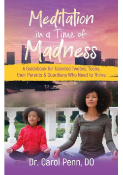 Meditation in a Time of Madness