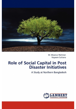 Role of Social Capital in Post Disaster Initiatives