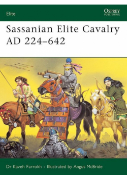 Sassanian Elite Cavalry AD 224-642