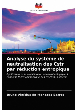 Analyse du système de neutralisation des Cstr par réduction entropique