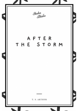 After the Storm