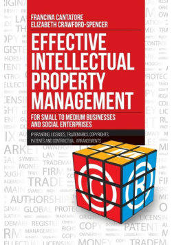 Effective Intellectual Property Management for Small to Medium Businesses and Social Enterprises