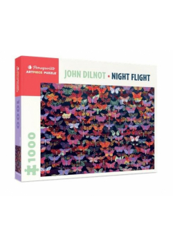 Puzzle 1000 Nocny lot, John Dilnot
