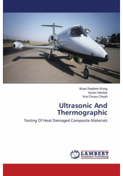Ultrasonic And Thermographic