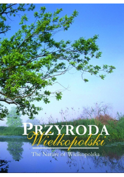 Przyroda Wielkopolski