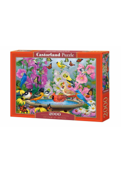 Puzzle 2000 Rhythm of Nature