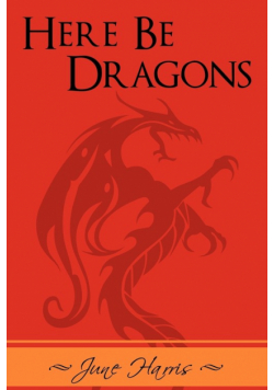 Here Be Dragons