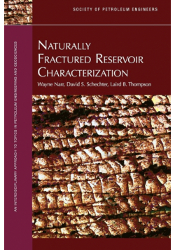 Naturally Fractured Reservoir Characterization