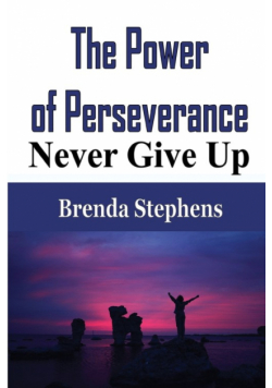 The Power of Perseverance