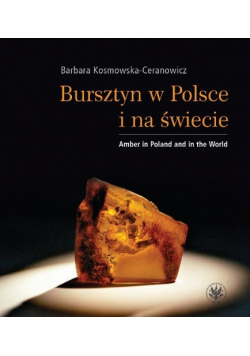 Bursztyn w Polsce i na świecie