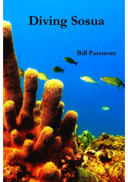 Diving Sosua