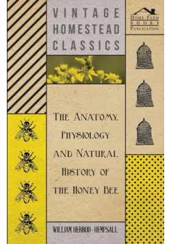 The Anatomy, Physiology and Natural History of the Honey Bee
