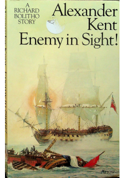 Enemy in Sight