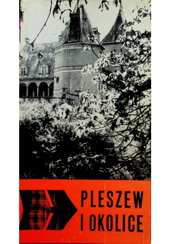 Pleszew i okolice