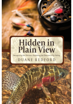 Hidden in Plain View