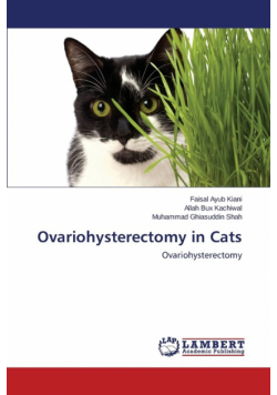 Ovariohysterectomy in Cats