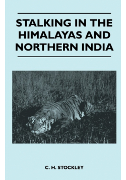 Stalking In The Himalayas And Northern India