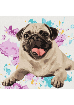 Malowanie po numerach - Ulubiony mops 40x40cm