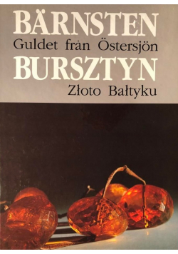 Barnsten Guldet fran Ostersjon / Bursztyn Złoto Bałtyku