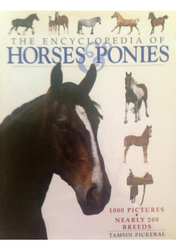 The Encyclopedia of Horses Ponies