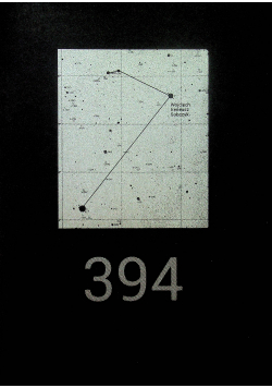 394