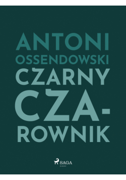 Czarny Czarownik