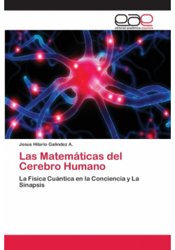 Las Matemáticas del Cerebro Humano