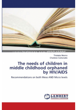 The needs of children in middle childhood orphaned by HIV/AIDS