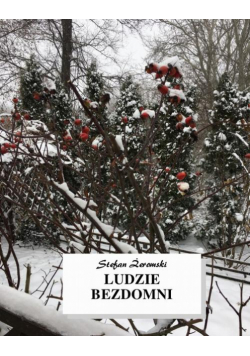 Ludzie bezdomni