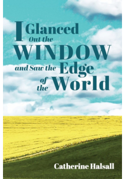 I Glanced Out the Window and Saw the Edge of the World