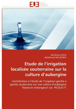Etude de l''irrigation localisée souterraine sur la culture d''aubergine