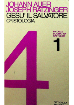 Gesuil Salvatore Christologia 1